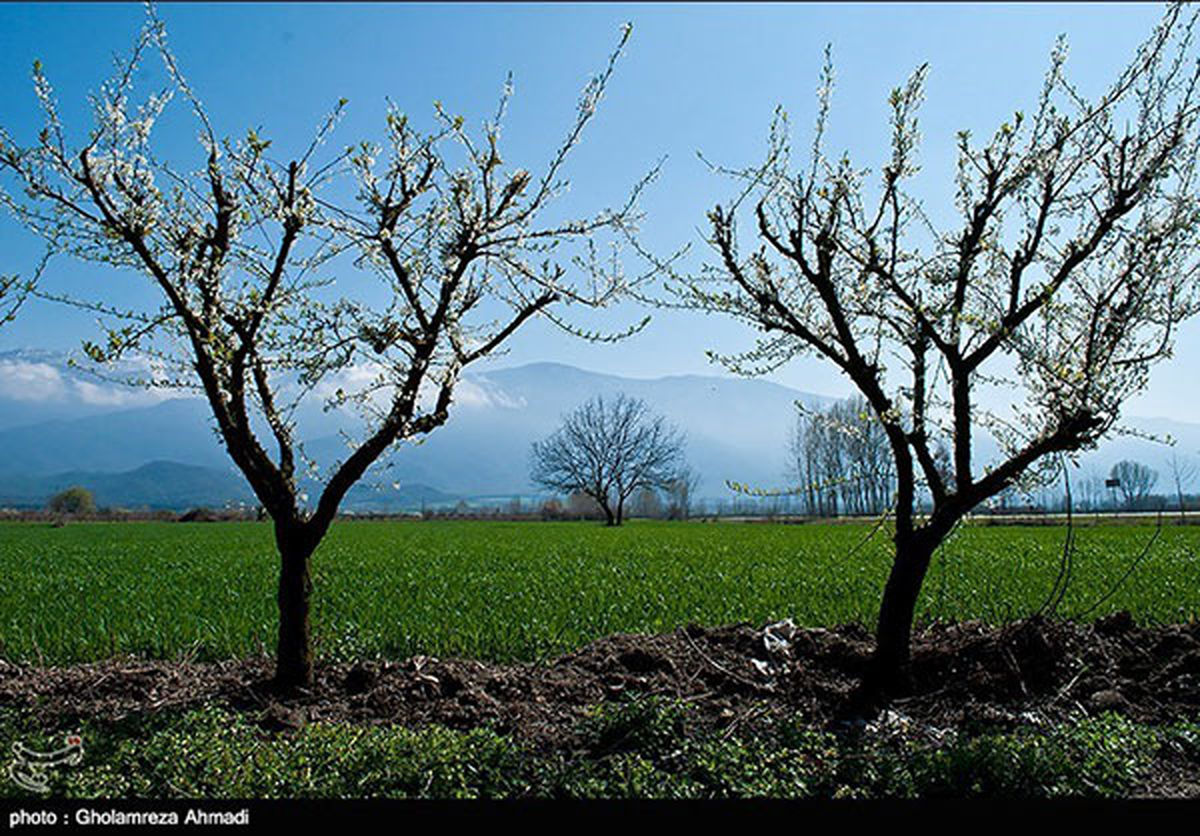 طبیعت زیبای بهاری مازندران