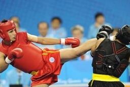 ۴ سانداکار از اردوی تیم ملی ووشو حذف شدند