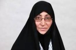 پیشنهاد ایجاد فراکسیون زنان و خانواده در کمیسیون مقام زن نیویورک