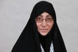 پیشنهاد ایجاد فراکسیون زنان و خانواده در کمیسیون مقام زن نیویورک