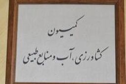 مدیر عامل صندوق بیمه اجتماعی کشاورزان و عشایر به مجلس گزارش می دهد
