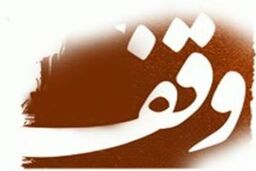 امامزادگان نقطه استراتژیک و پایگاه های فرهنگی قوی کشور هستند