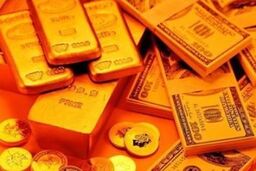 آخرین تغییرات قیمتی دلار و سکه