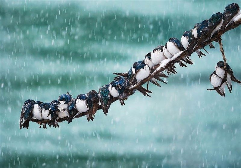 ورود سامانه بارشی به کشور/بارش برف پاییزی در برخی استان‌ها 