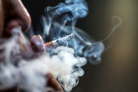 سیگار هر روز جان ۱۷۵ ایرانی را می‌گیرد