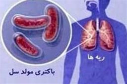 تعداد موش و پشه ها ی ناقل بیماری در کشور افزایش یافته است