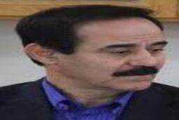 درویش زاده: عملکرد ژیمیناستیک در سال ۹۲ رضایت بخش بود