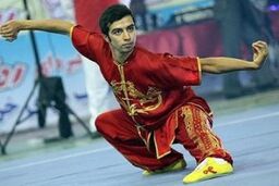 پیام تبریک وزارت ورزش و کمیته ملی المپیک به ووشوکاران