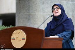 مهاجرانی:تضعیف سرمایه اجتماعی توان عبور جمعی از چالش‌ها را کاهش می‌دهد
