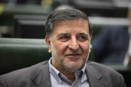 ۴۰درصد ثبت نام کنندگان یارانه درآمد خود را زیر ۶۰۰هزار تومان اعلام کردند