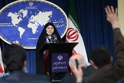 واکنش افخم به دعوت ایران در ژنو ۲