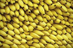 دستیار کی روش جزو ۱۰ اتفاق عجیب جام جهانی / جکوزی برای ژاپنی ها و قهوه برای استرالیایی ها