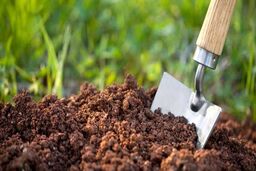 ارزش خاک، حتی شاید بالاتر از آب است! 