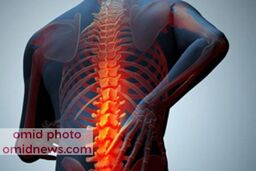 بهترین غذاها برای افزایش مایعات مغز