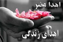 ثبت‌نام نمایندگان مجلس برای اهدای عضو
