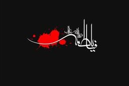 چهارمین تجمع بزرگ فاطمیون در میدان شهید طهرانی مقدم برگزار می شود