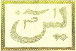 سوره یاسین در کلام امام زمان(عج)