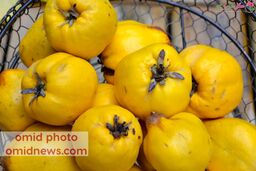 طرز تهیه دمنوش به 