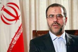 منتظر موضع رسمی دولت پاکستان هستیم / دلیل محکمی در مورد شهادت مرزبان نداریم