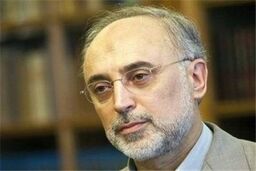 رئیس سازمان انرژی اتمی مشخص شد