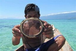 تغییر ژنتیکی که مردان را به ماهی تبدیل کرد!