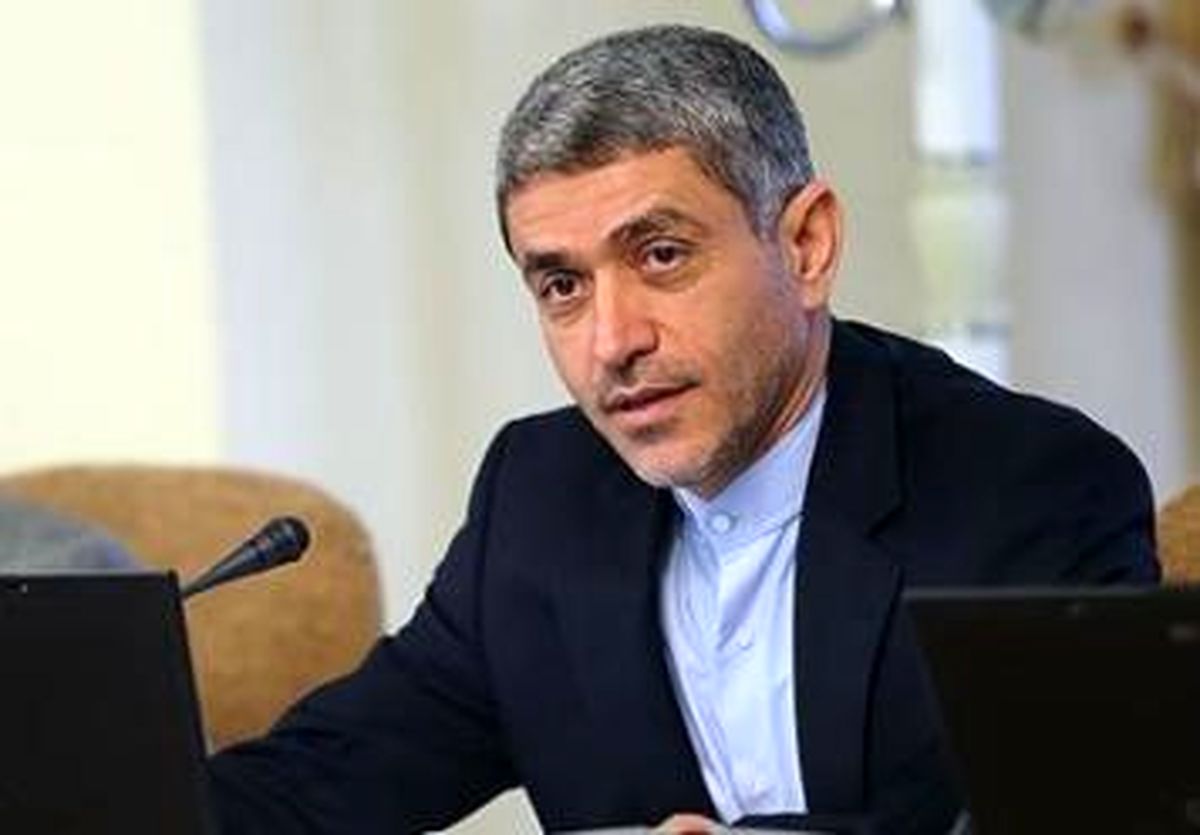 طیب نیا: نرخ سود تسهیلات بانکی سال ۹۴ تغییر می کند