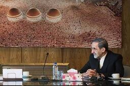 معاون وزیر خارجه نیوزیلند با ولایتی دیدار کرد