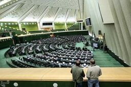 سوال از وزیر نیرو به کمیسیون کشاورزی مجلس ارجاع شد