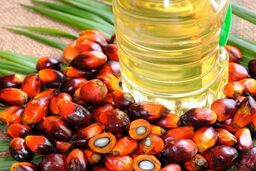 افزایش واردات روغن پالم / رشد ۵۴ درصدی