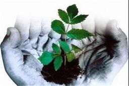 باقیات صالحات پس از مرگ