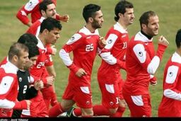 تیم ملی فوتبال به ژوهانسبورگ رسید