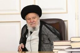 تأکید آیت الله موسوی اردبیلی بر تامین دارو برای بیماران صعب العلاج
