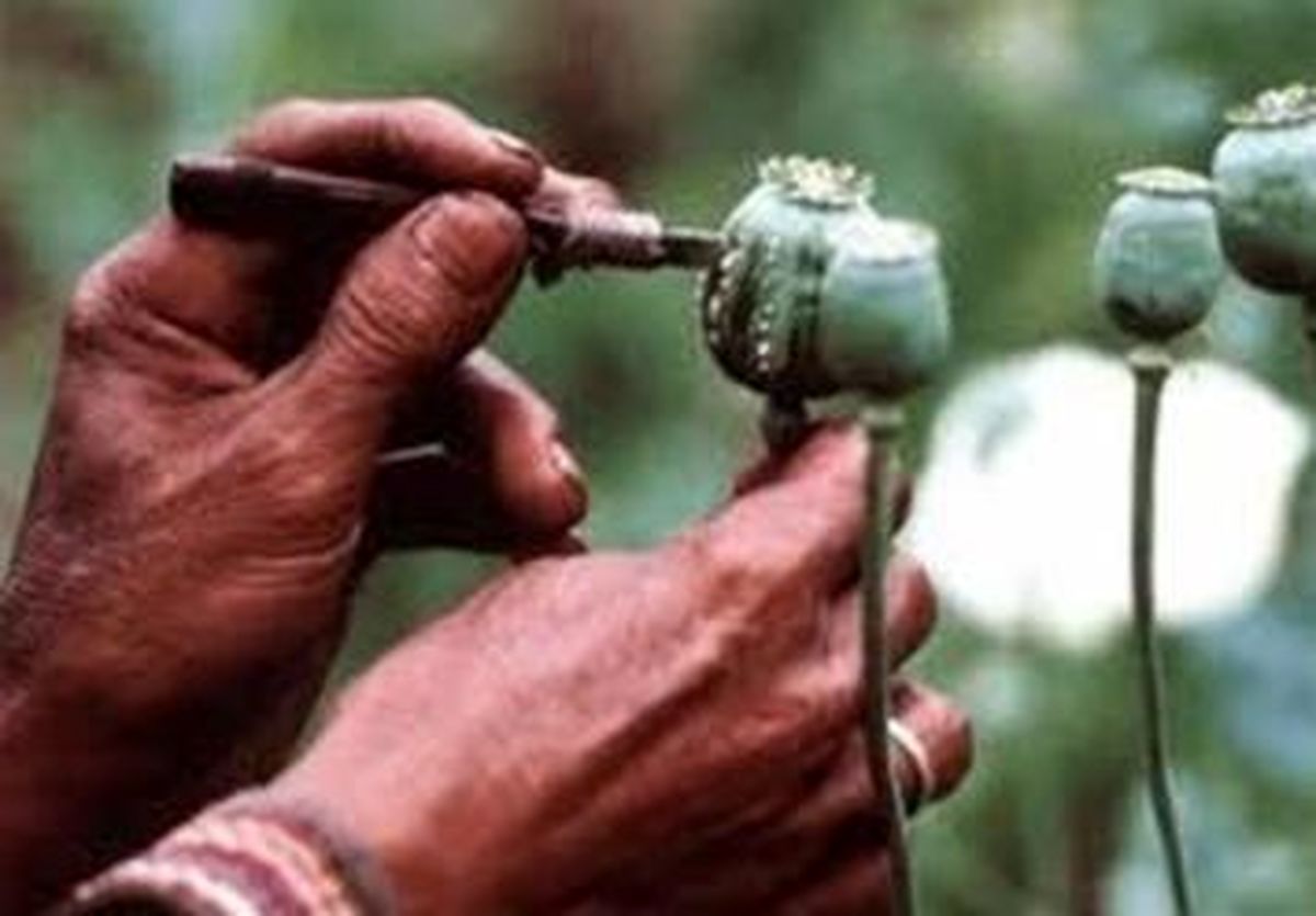 ایجاد دفتر ستاد مبارزه با مواد مخدر در «حوزه علمیه قم»