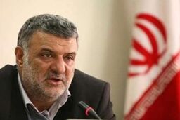آسیب های بخش کشاورزی در اجرای فاز دوم هدفمندی یارانه ها را کاهش می دهیم