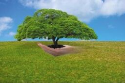 توزیع بسته های آموزشی محیط زیستی در پایگاه های نوروزی شهرستان ساوجبلاغ