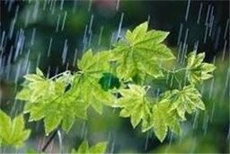 هوای پایتخت بارانی می شود