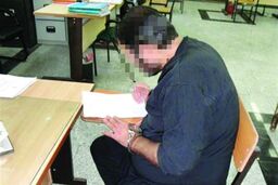درآمدزایی از راه بی هوش کردن گاوها!