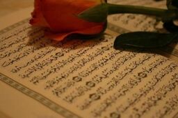 طرح آموزش همگانی قرآن کریم به صورت عادی در دستور کار مجلس قرار گرفت