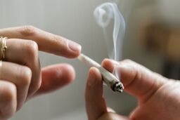 مخدر گل با ۱۰ برابر ماده موثر به بلای جان جوانان تبدیل شده‌ است