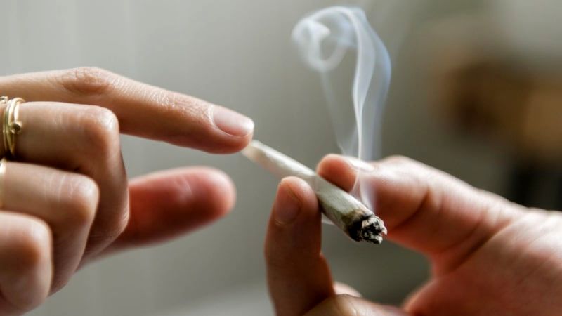 مخدر گل با ۱۰ برابر ماده موثر به بلای جان جوانان تبدیل شده‌ است