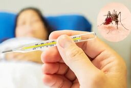 آیا نمایان شدن علائم تب دنگی نشانه خطر است؟