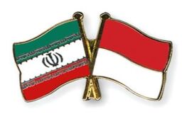 اندونزی از صنعت پتروشیمی ایران کنار گذاشته شد