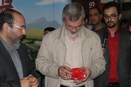 کنایه جالب رویانیان به فردوسی پور!