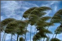 کاهش ۵ تا ۱۰ درجه ای دما در استان های شمالی کشور