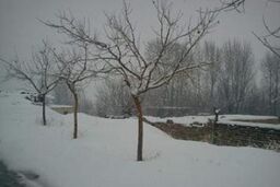 مسافران فعلا از سفر به منطقه کوهستانی کجور خودداری کنند