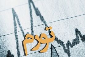 تورم کالاهای اساسی که ارز ترجیحی می‌گیرند، بیشتر است