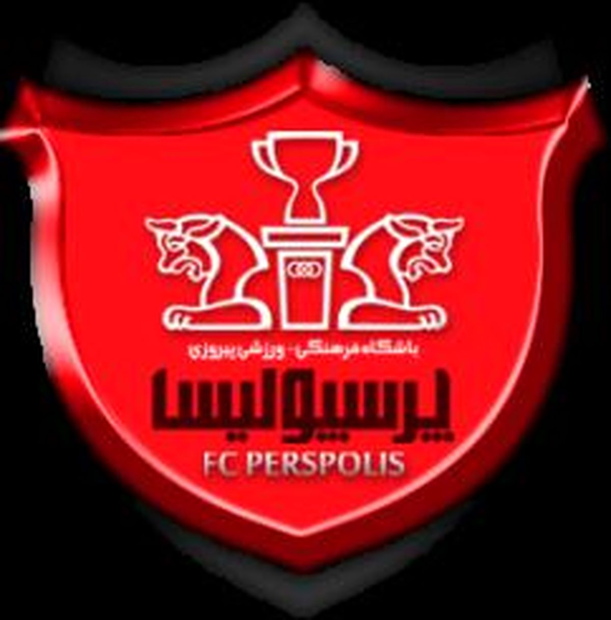 بازیکنانی که تا پایان جام جهانی با پرسپولیس تمدید نمی کنند