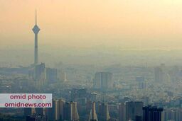 تغذیه در هوای آلوده تهران