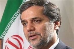 بررسی تحولات مصر با حضور صالحی