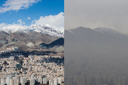 برف و بارشش را باورکنیم یا گرد و خاکش را